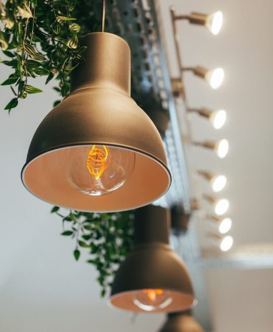 Scenic pendant lights with low lit incandescent bulbs surrounded by healthy green plants
